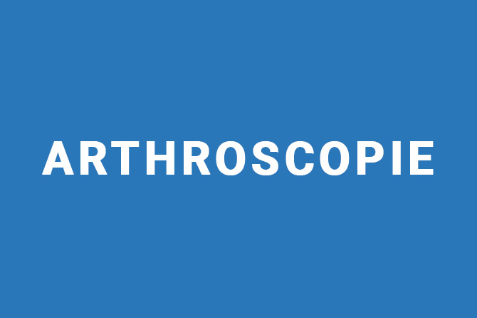 Arthroscopie d’un chien galgo