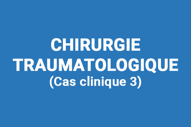 Chirurgie traumatologique d’un chien bull-terrier