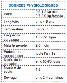 Données physiologiques cochond'inde