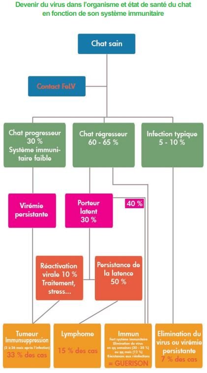 Evolution du virus