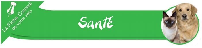 Fiche Santé animalière