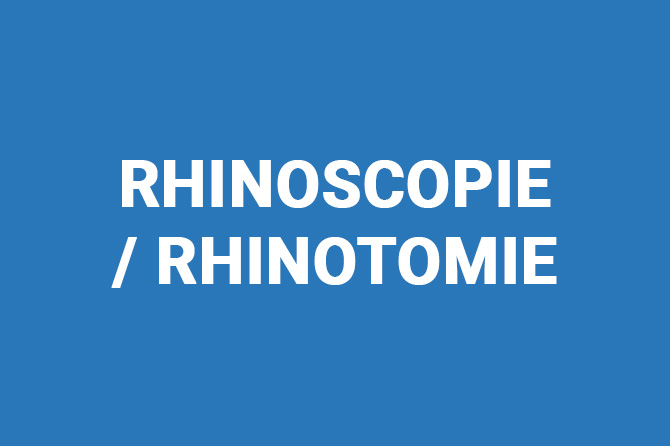 Rhinoscopie / Rhinotomie d’un chien border collie