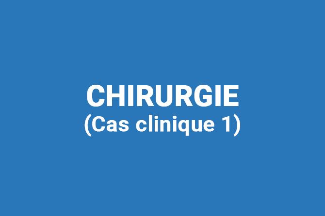 Chirurgie d’un chien fox terrier