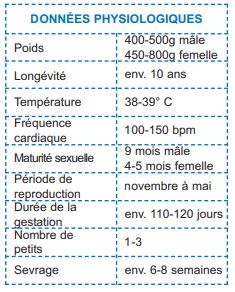 Infos sur le chinchilla