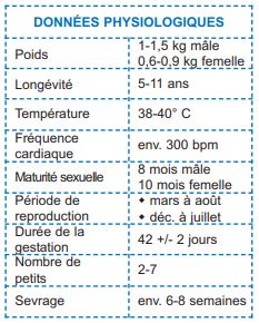 Données physiologiques du furet