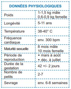 Données physiologiques du furet