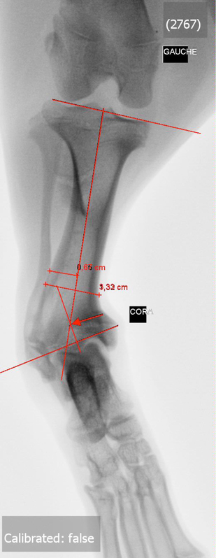 radiologie