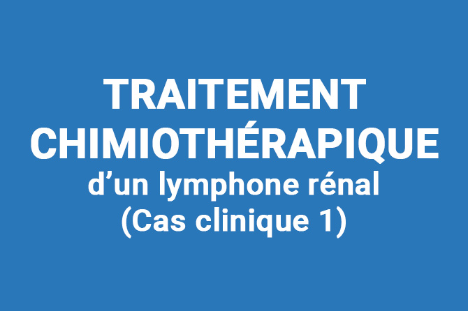 Traitement Chimiotherapique D Un Lymphome Renal D Un Chat Europeen Orthovet