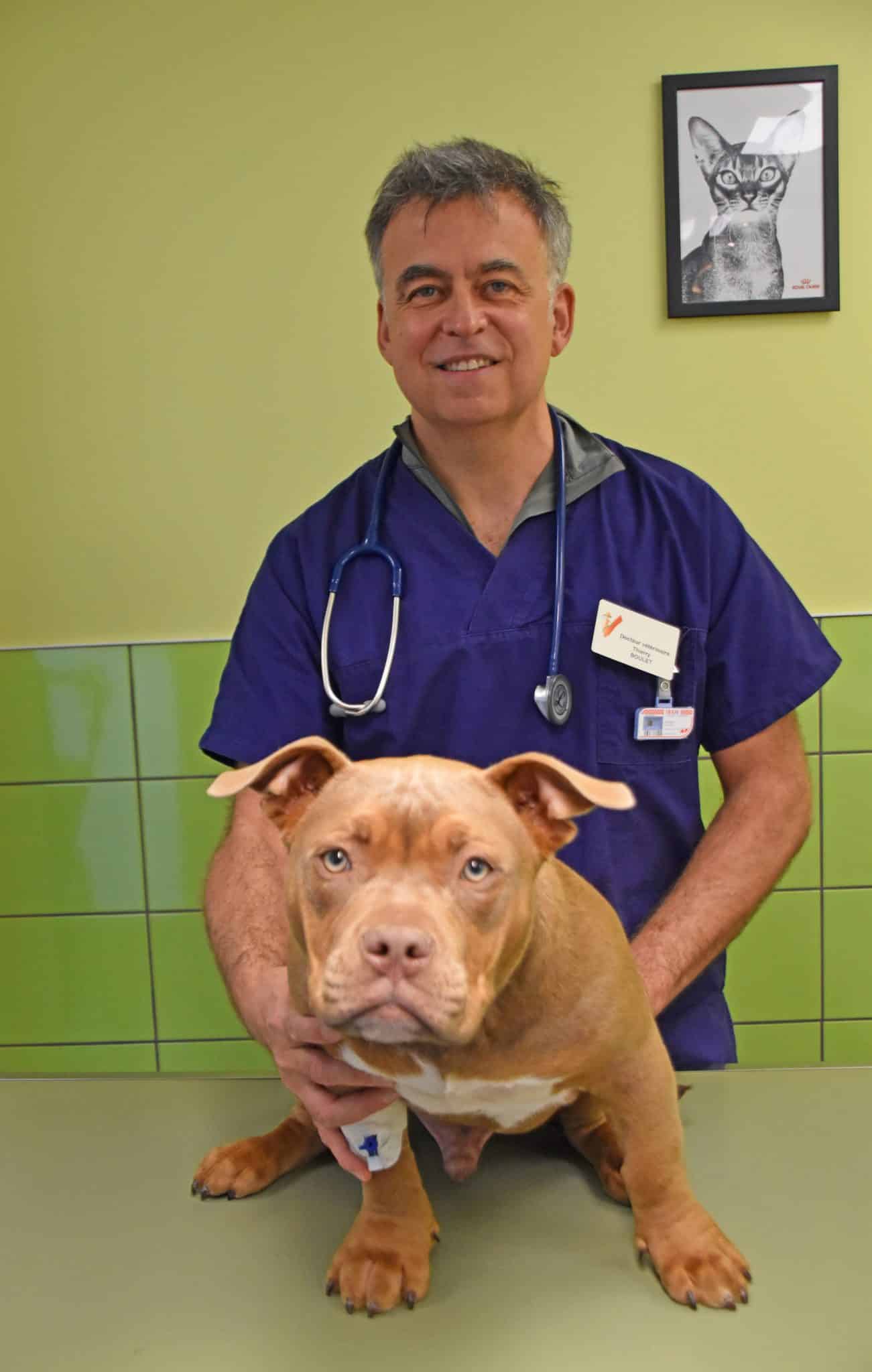 Dr Boulet, vétérinaire et fondateur clinique vétérinaire Orthovet